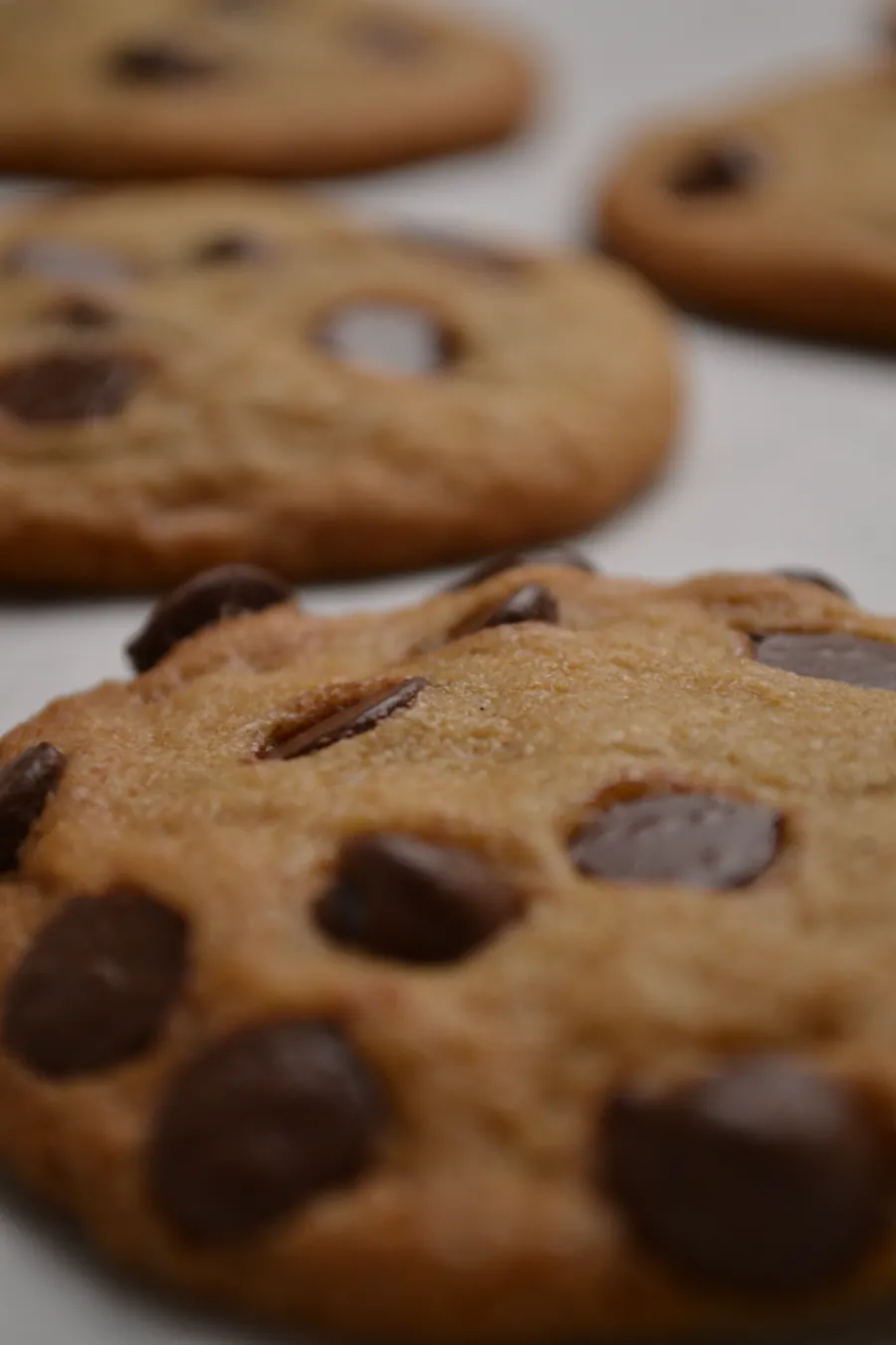 Chocolate Chip Cookie